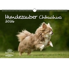 Hundezauber Chihuahua DIN A3