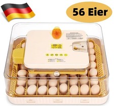 56 Eier Digital Inkubator
