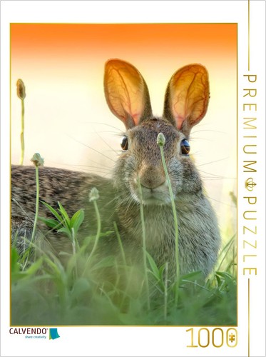 Calvendo puzzle niedliche - puzzle,