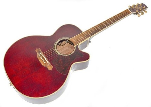 Takamine dmp551c akustik - dmp551c,
