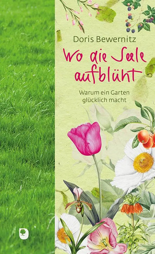 Die seele aufblüht warum - seele,