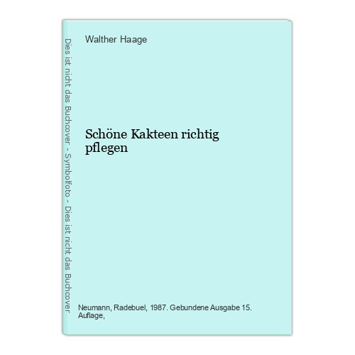 Schöne kakteen richtig - schöne,