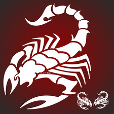  2x Skorpion L/R 16 x 11cm