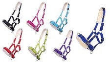 Kappzaum Longierhilfe für Bodenarbeit Farbauswahl Größe Shetty, Pony, Cob, Full