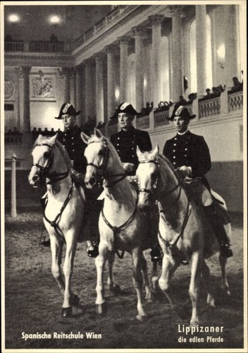 Wien spanische reitschule - ak,