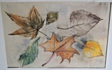Franz ehmke 1928 - *, gdr