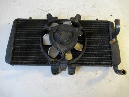 Triumph daytona 955 t595 - triumph,