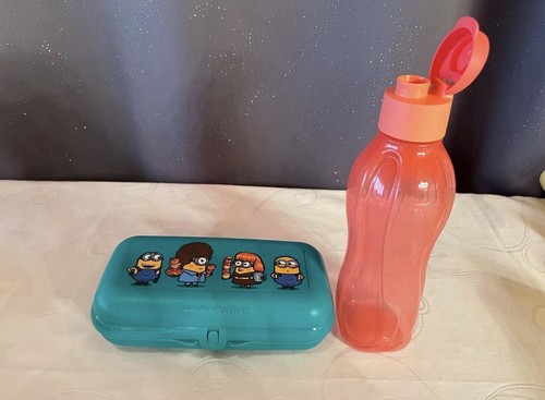 Tupperware lunchbox - go,