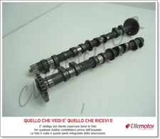 Paar Bäume A Nocken