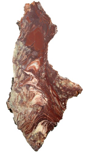 Ediacarium seltener - ediacarium,