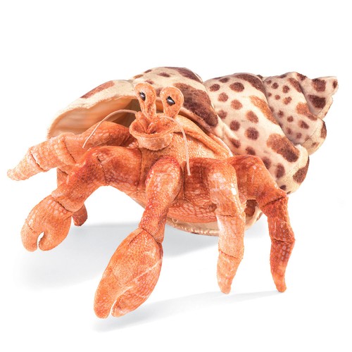 Einsiedlerkrebs hermit crab - /,
