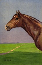 Pferd, Landschaft, sign