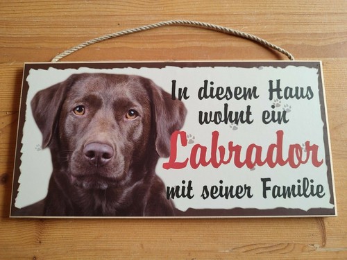 Türschild labrador braun - türschild,