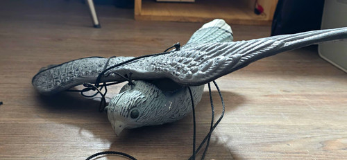 Kunststoff wanderfalke - kunststoff,