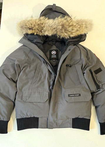 Canada goose chilliwack - goose,