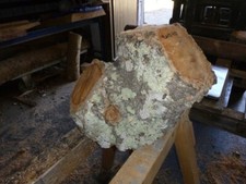 Korkeiche Eiche Baumstamm Stamm Skulptur Holz Klotz Rohling Drechselholz 35x40cm