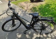 E- Bike Damen 28 Zoll Pegasus Premio Evo 10 Lite grau