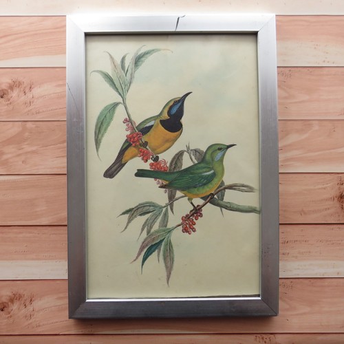 Vogel kunstdruck poster mit - poster,