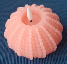 Stück elambia - 3,