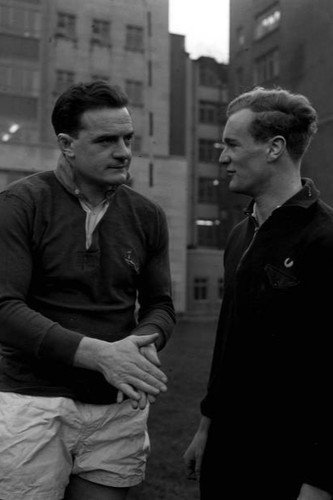 The irish rugby captain - rugby,