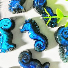 Labradorit Kristall Seepferdchen 