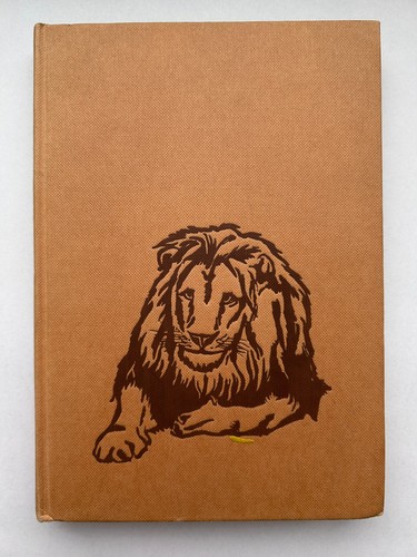 Daktari buch - "daktari",,