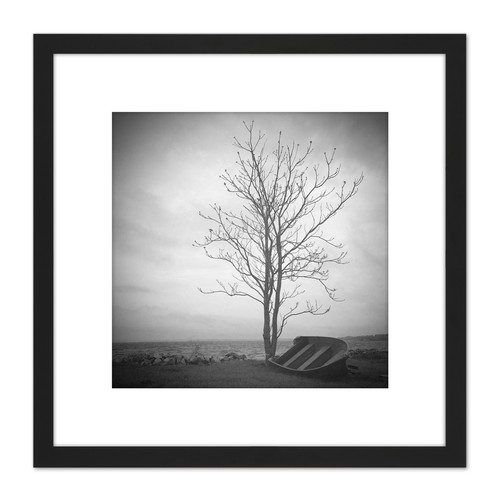 Einsamer baum silhouette - baum,