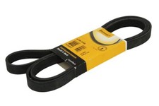 CONTITECH Keilrippenriemen 6