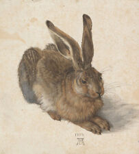 Der Feldhase Albrecht Dürer Hase Alte Meister A3 066