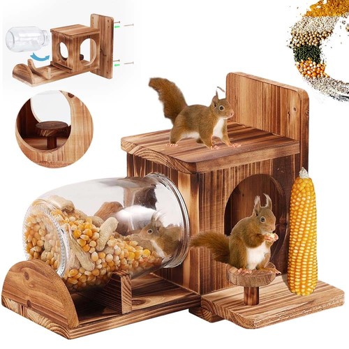 Eichhörnchen futterhaus - eichhörnchen,