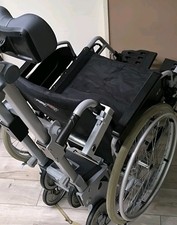 Treppenraupe Treppensteiger