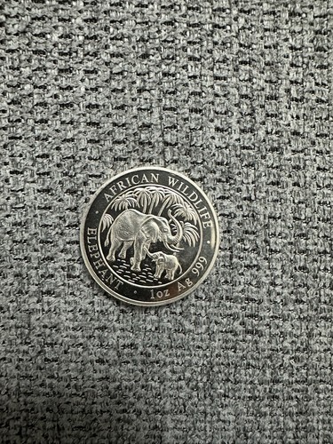999ag silbermünze 31 1g - oz,