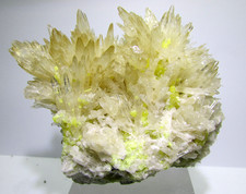 Coelestin xx mit Schwefel xx Hand-Stufe Grube Machow / Tarnobrzeg  / Polen!