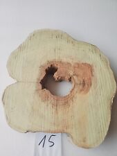 Int15 XL Baumscheibe Akazie Robinie 47x41x6 94-98Jahre Holzscheibe Tischplatte