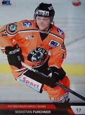 510 Sebastian Furchner Grizzly