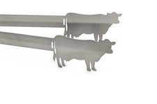 Grillzange Motiv Kuh 