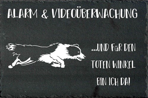 Border collie hundewarnschild - border,