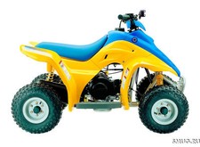 WERKSTATTHANDBUCH HYOSUNG WOW