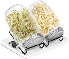 Sprossenglas Keimglas 2er Set