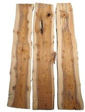 3x Eibe Maser Holz Eibenholz wild Burl 67x10-15cm x 15-16mm #E1