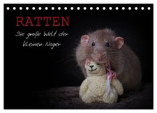 Ratten. Die große Welt der
