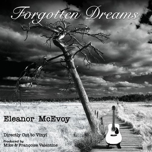 Eleanor mcevoy forgotten - mcevoy,