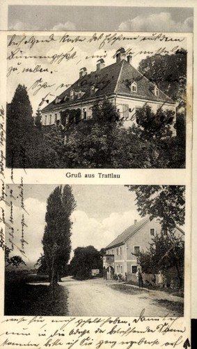 Kostrzyna trattlau - kostrzyna,