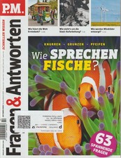 P.M. - Fragen & Antworten - 63