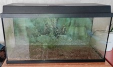 Juwel Aquarium 80 x 35 x 40 cm