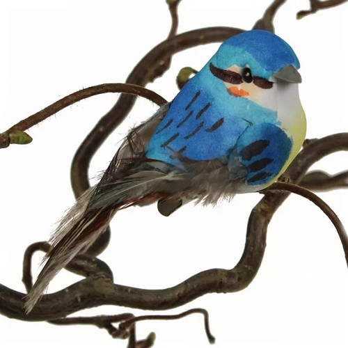 Vogel mit clip - mit,