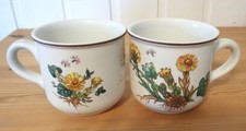 Villeroy & Boch*Botanica ♥ 2 Kaffeetassen ♥ Löwenzahn*sehr guter Zustand