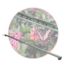 Regenwald Terrarium,1x