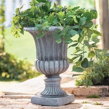 Pflanz Gefäß Amphore