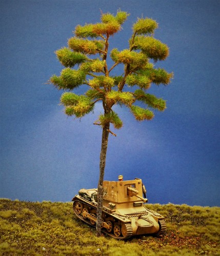 Diorama modell nadelbäume 1 - modell, nadelbäume,